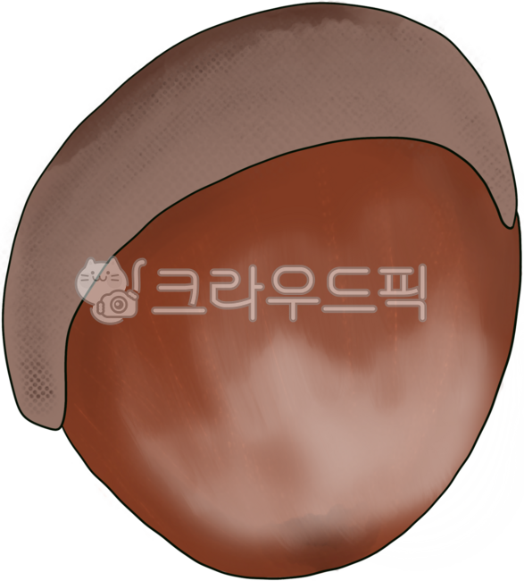 도토리,도토리열매,상수리나무,다람쥐도토리,가을
