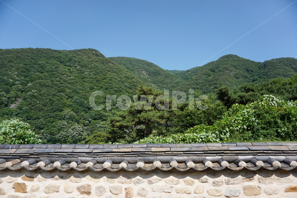 돌담,전통,자연,조선시대,tranditional,산막이옛길,old,natural,자연보호,마당,전통집,고택,돌,전통가옥,여름