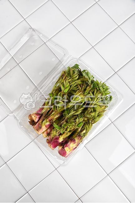 두릅,땅두릅,봄두릅,두릅채취,두릅철,두릅요리,두릅제철