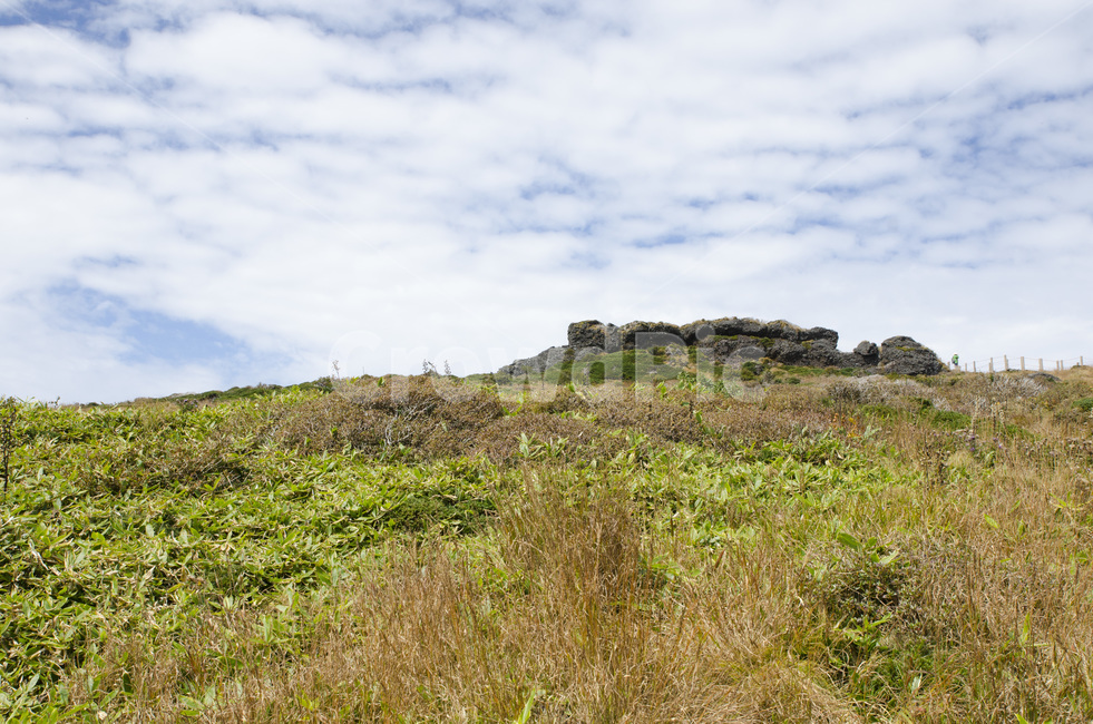 제주,제주도,한라산,산,자연,숲,구름,하늘,풍경,자연,풍경,nature,landscape,한국자연풍경,한국자연경관,korea nature landscape,제주도,jeju,jeju island,outdoors,옥외,field,들,grassland,목초지