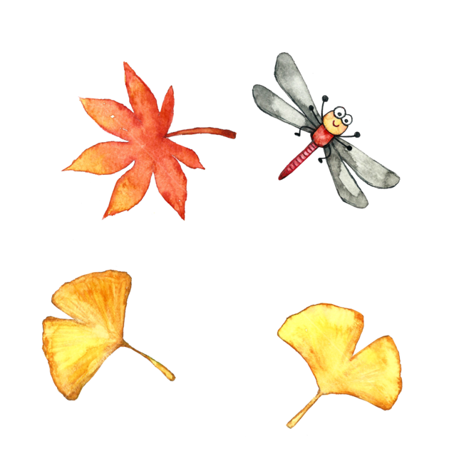 leaf,잎,plant,식물,tree,나무,가을,가을이미지,수채화,잠자리,곤충,은행잎,mapleleef,단풍잎,그래픽,일러스트레이션,graphic,illustration