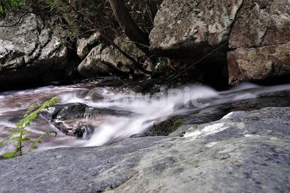 왕봉골,계류,시원하다,물줄기,아름답다,한국자연풍경,한국자연경관,korea nature landscape,nature,자연,water,물,outdoors,옥외