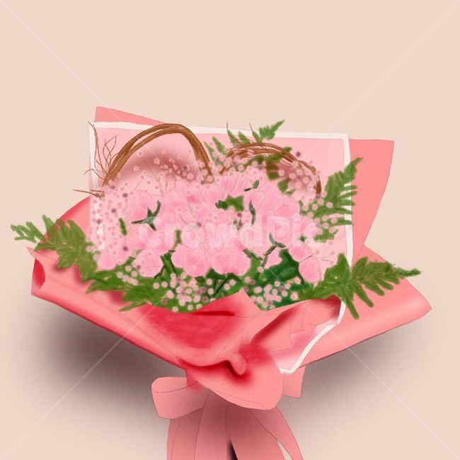 꽃다발,이벤트,장미,flower,pink,plant,식물,여자친구,선물,생일
