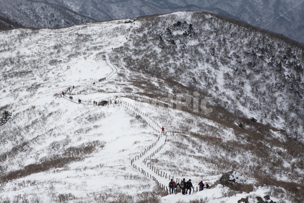 겨울,덕유산,산,풍경,자연,눈,white,winter,landscape,nature,snow,겨울,계절,winter,season,자연,풍경,nature,landscape,사람들,대중,군중,other people,crowd,outdoors,옥외,mountain,mountain range,산맥