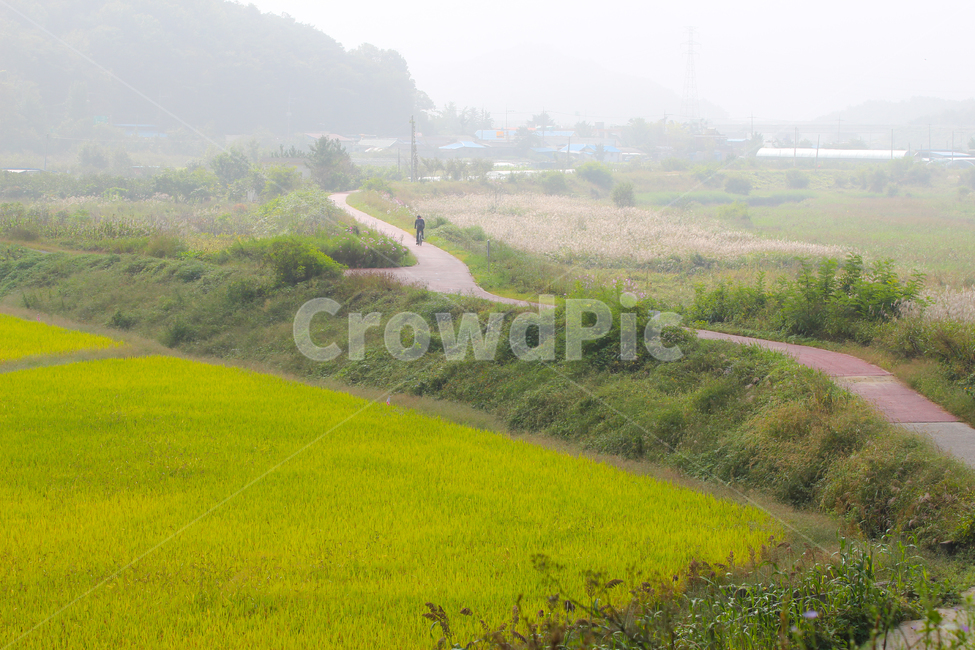 자전거도로,자전거길,둘레길,아침,산책,운동,들,field,자연,nature,시골,마을,풍경,landscape,country,rural,town