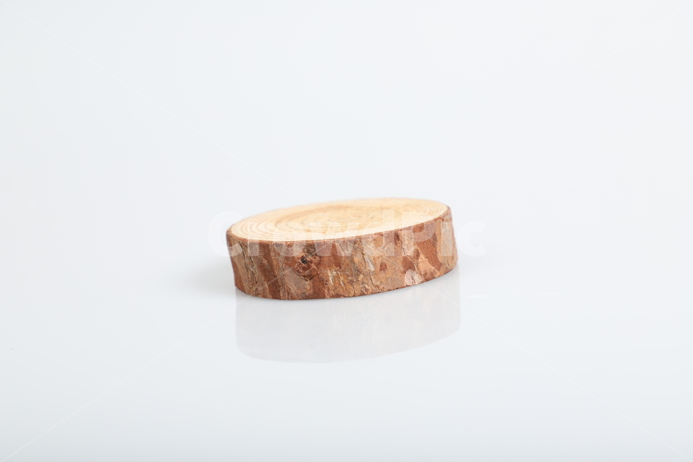 나무,디자인,소품,인테리어,쇼핑몰,광고,사물,물건,오브젝트,thing,object,matter