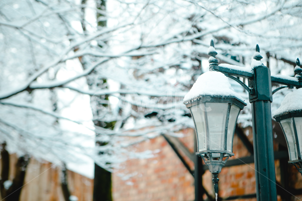 눈,겨울,감성,추위,winter,따뜻,눈송이,겨울,계절,winter,season