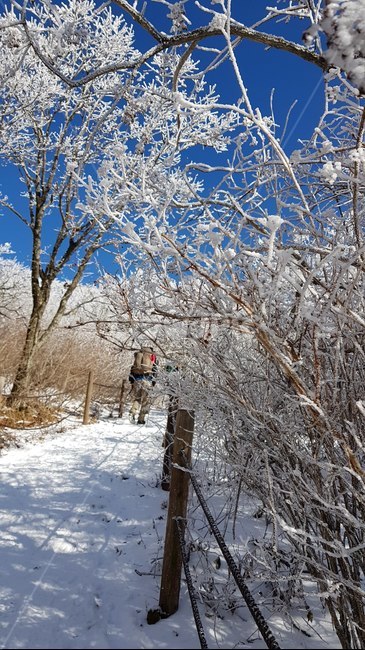 겨울산,등산,상고대,snow,mountain,winter,눈길,등산객