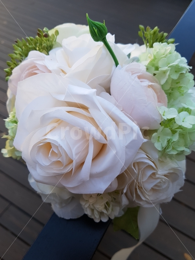 꽃,식물,장미,백장미,흰색,장식,식물,자연,plants,nature,꽃,flower