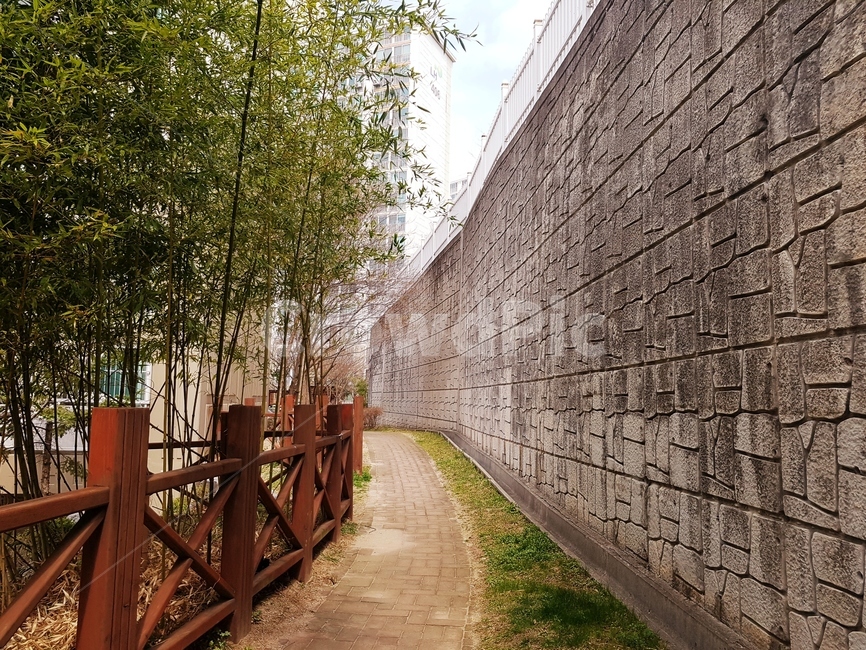 봄,산책,나무,풀,산책로,돌계단,하늘,4월,돌담,대나무,길,자연,풍경,nature,landscape,path,통로,walkway,보도,wall,벽