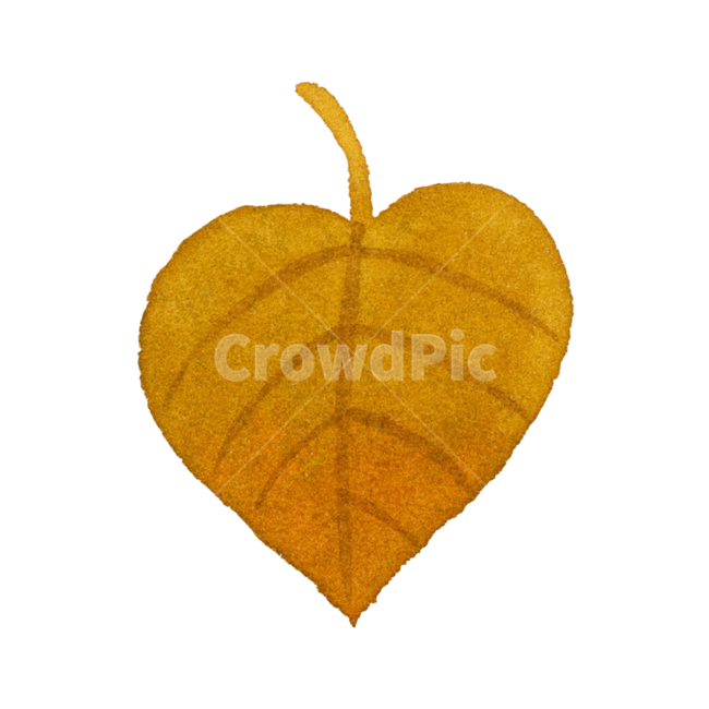 잎,가을,leaf,낙엽,나뭇잎,식물,plant,자연,계절,수채화,손그림,일러스트,fall,autumn,season,illustration,watercolor,그래픽,일러스트레이션,graphic,illustration
