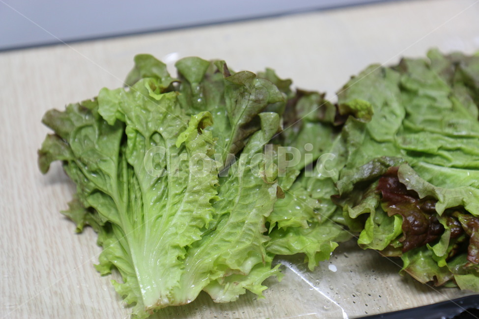 상추,음식,채소,야채,쌈,음식,식재료,요리,food,cook,meal,dishes,food reserves,채소,야채,vegetables