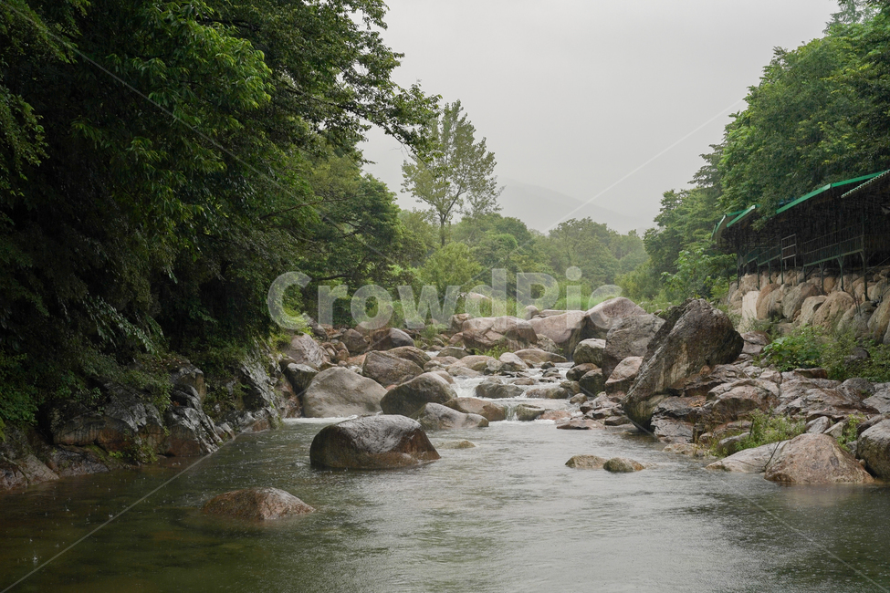 비,valley,계곡,맑은물,시원함,산속,여름,계절,summer,season,자연,풍경,nature,landscape,outdoors,옥외,water,물,stream,흐름,creek,작은 만