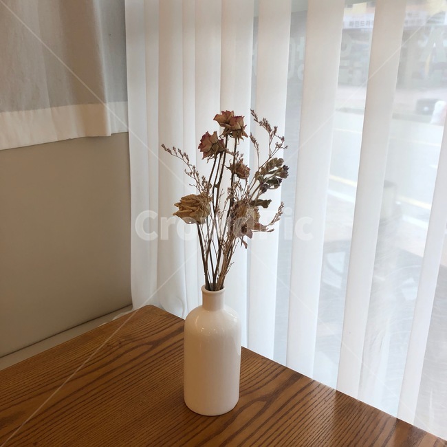 카페,cafe,감성,감성사진,꽃,색채,색감,인테리어,실내디자인