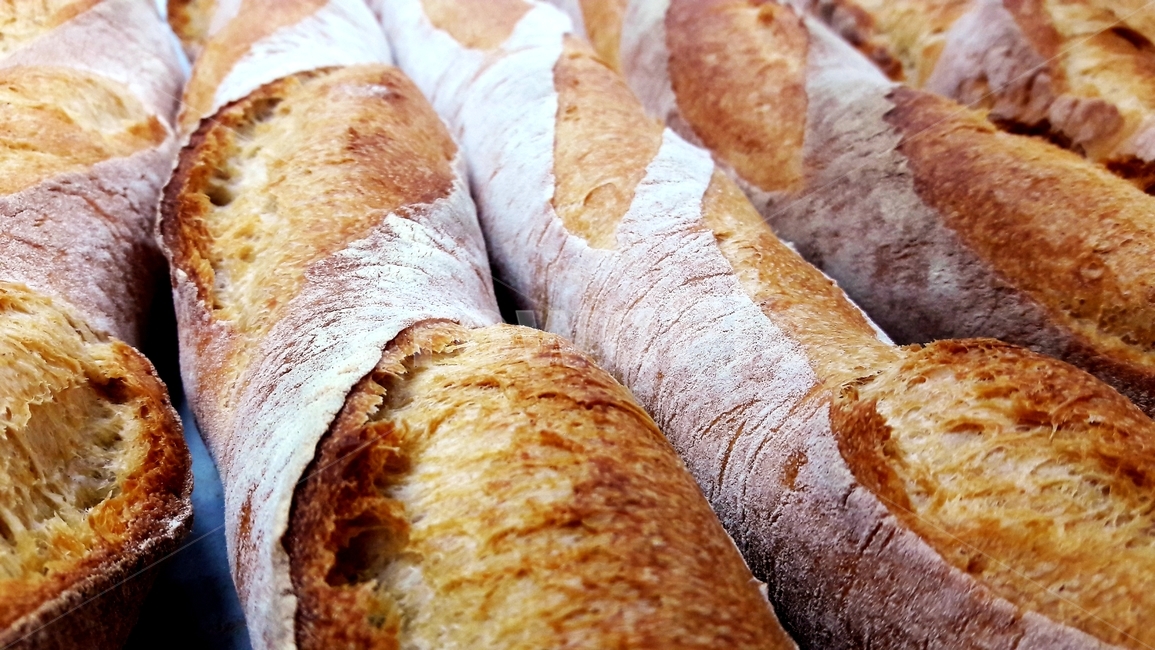 바게트,프랑스빵,제빵,빵,하드계열,폴리쉬반죽,천연발효,실온발효,오븐,스팀,수제,갈색,crack,baguette