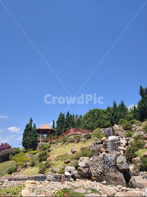 plant,식물,tree,나무,fir,전나무,정자,arbour,pavilion,gazebo,폭포,waterfall,garden,정원