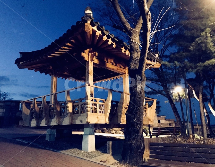 정자,풍경,나무,공원,저녁,새벽,밤,야경,밤,풍경,nightscape,night,landscape,한국전통,한국문화,korean traditional,korean culture