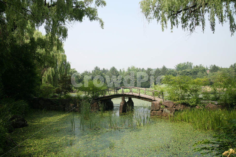 벽초지,파주,수목원,풍경,여름,하늘,구름,자연,다리,연못,국내여행,자연,풍경,nature,landscape,water,물,castle,성,architecture,건축물,building,건물,outdoors,옥외,ditch,도랑