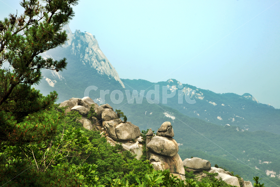 도봉산,산,국립공원,선인봉,신록,계절,자연,자연,풍경,nature,landscape