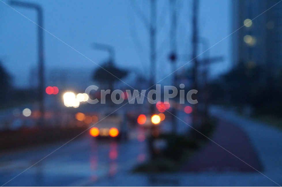 야경,불빛,비,봄,나무,야경,밤,풍경,nightscape,night,landscape,감성,sensible,feeling,교통,교통수단,traffic,transportation
