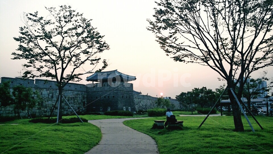 plant,식물,grass,lawn,벤치,bench,가구,furniture,잔디,노을,석양,화성,화성투어,나무,나무아래,그늘,선셋,태양