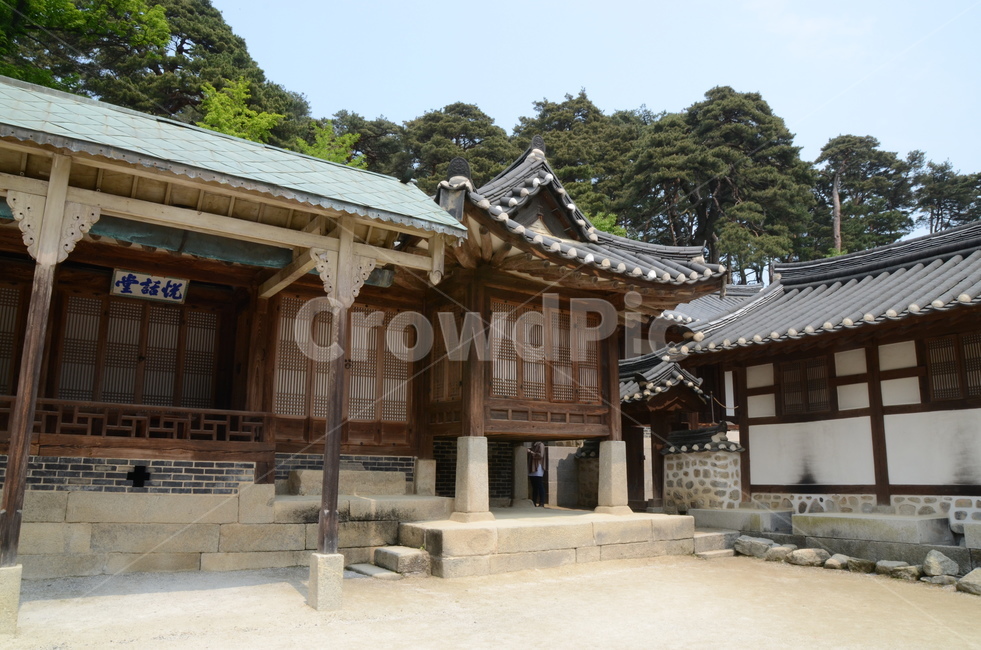 선교장,강릉,건축물,고택,건물,building,기와집,옥외,outdoor,자연,nature,한옥