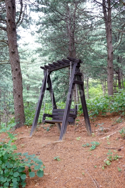 나무,공원,산책로,숲,산,식물,자연,풍경,nature,tree,그네,휴식,놀이기구,쉼터,여름,summer,녹색,그린,green,color,landscape,계절,season,사물,물건,오브젝트,thing,object,matter