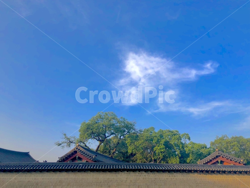 하늘,맑음,나무,경복궁,광화문,기와,한국전통,한국문화,korean traditional,korean culture,건축물,건물외관,exterior,building,structure,architecture,construction