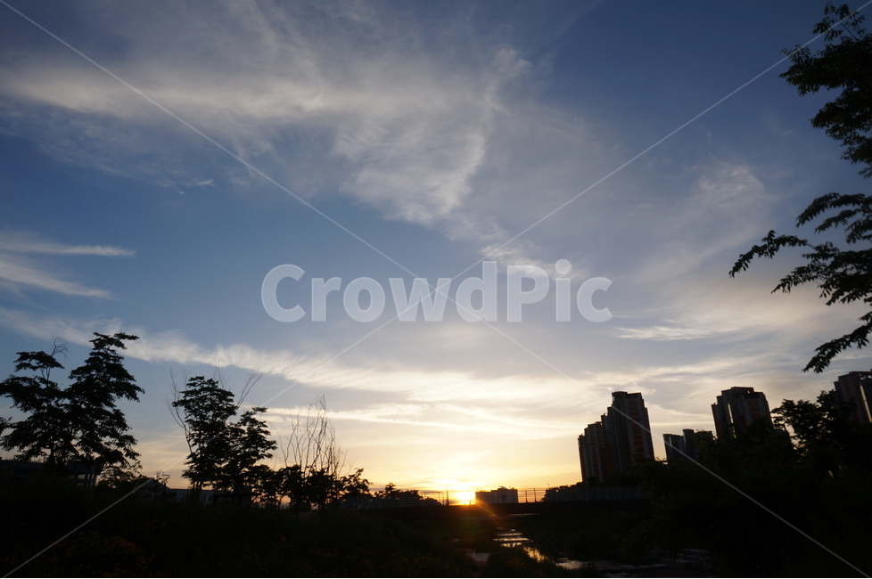 일출,아침,해,빛,맑음,구름,도시,풍경,city,landscape,한국도시풍경,한국도시경관,korea cityscape,실루엣,그림자,silhouette,shadow,flare,플레어,light,nature,자연,outdoors,옥외,sunlight,햇빛