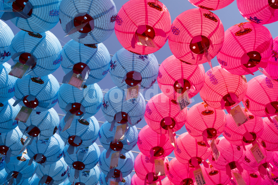 연등,팔공산,풍등,절,동화사,lotuslanttern,종교,신앙,religion,belief,faith,축제,행사,festival,carnival,event