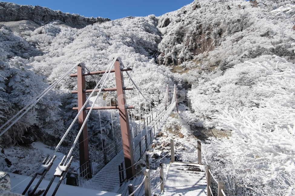 한라산,상고대,설산,겨울,겨울산행,눈꽃,진달래대피소,성판악,관음사,제주도,제주,백록담,겨울,계절,winter,season,자연,풍경,nature,landscape,한국자연풍경,한국자연경관,korea nature landscape,제주도,jeju,jeju island,outdoors,옥외,ice,얼음,mountain,산