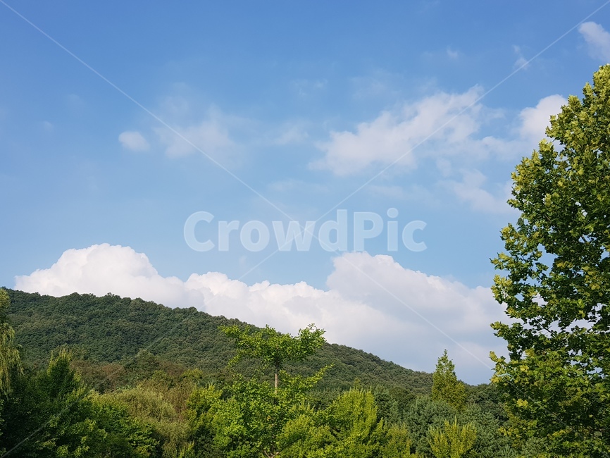 하늘,구름,풍경,자연,산