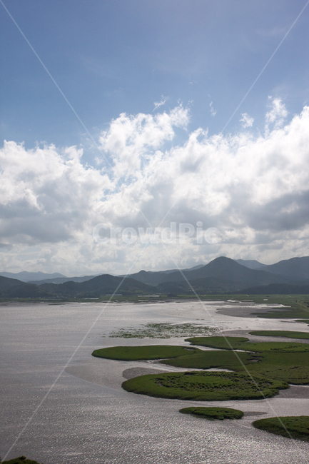 nature,자연,outdoors,옥외,grass,잔디,순천만,전라남도,국가정원,구름,하늘