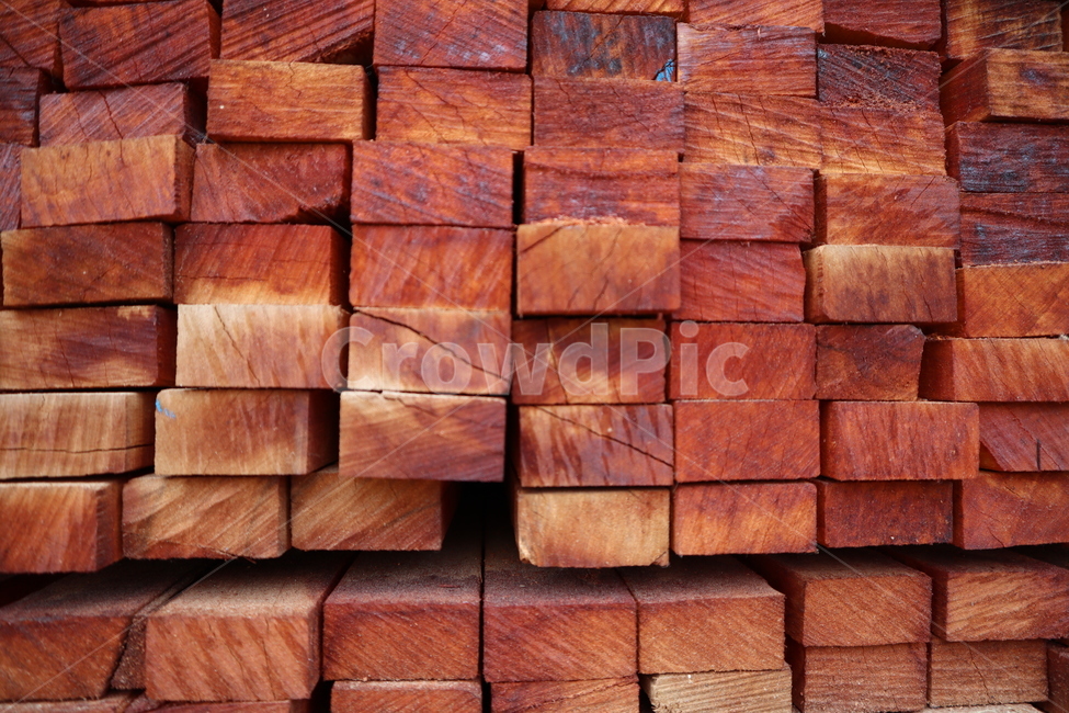 목재,나무,재목,나무조각,땔감,wood,tree,lumber,timber,firewood