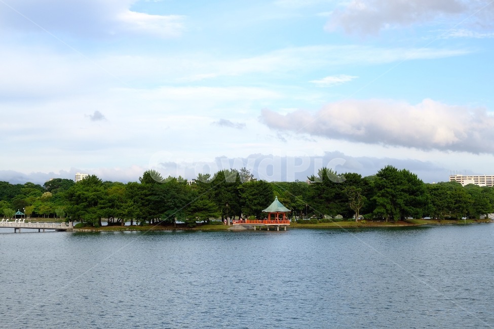 park lake,Ohori Koen,japan,lake park,Ohori Park,Fukuoka,lake