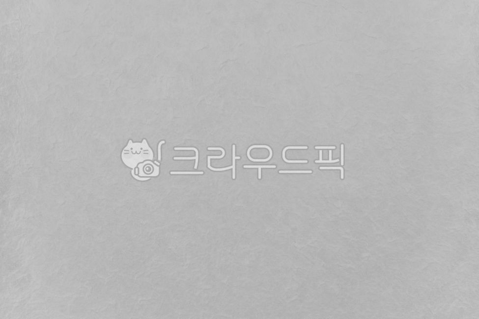 전통,한지,한지질감,배경,종이,일러스트,테두리,백그라운드,배경지,한국,질감,재질,텍스처,한지텍스처,한지텍스쳐,질감텍스쳐,질감텍스처,종이텍스쳐,종이텍스처,종이질감텍스쳐,종이질감텍스처,페이지,전통배경,한지무늬,텍스쳐,종이질감,연하장,엽서,카드,편지,인사,새해,새해인사,신년,신년인사,신년카드,청첩장,엽서제작,생일카드,감사편지,손편지,잔치,축하,명절,추석,설날,동양,문화,한가위,초대장,감사,소식,디자인,한국전통,한글날,바탕,설,구정,색지,구김지,색한지,소스,종이질감배경,종이배경,한지배경,전통한지감사장,돌잔치,생일잔치,파티,신년연하장,송년회초대장,무늬,한국문화,빈공간,패턴,전통문양,전통무늬,전통한지,갈색,텍스처,질감,패턴,texture,pattern