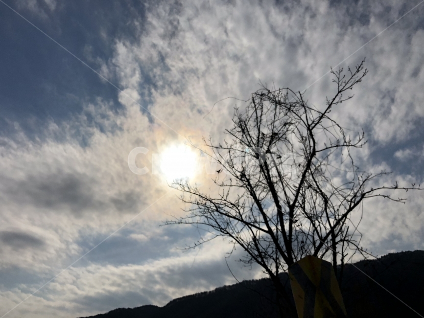 구름,하늘,나무,겨울,바탕화면,배경화면,Cloud,Sky,Background,Tree,Winter,자연,풍경,nature,landscape,flare,플레어,light,빛,outdoors,옥외,sunlight,햇빛