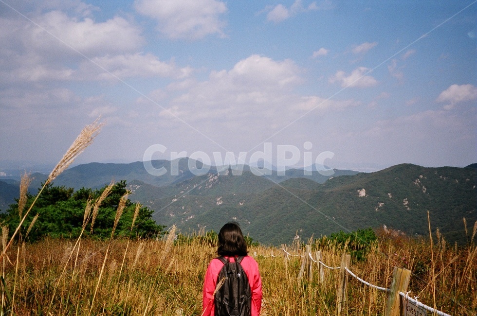 갈대밭,억새,가을,여자,필름,뒷모습,감성,색체,색감,가을하늘,억새밭,nature,자연,구름,산,등산,outdoors,옥외,여성,여자,woman,female,lady,여행,휴가,traveling,vacation,trip