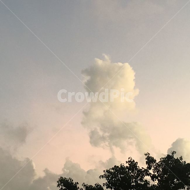 하늘,구름,노을,sky,cloud
