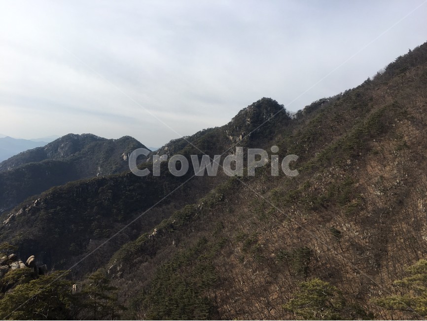 산,등산,나무,시골,풍경,자연,풍경,nature,landscape,slope,경사,outdoors,옥외