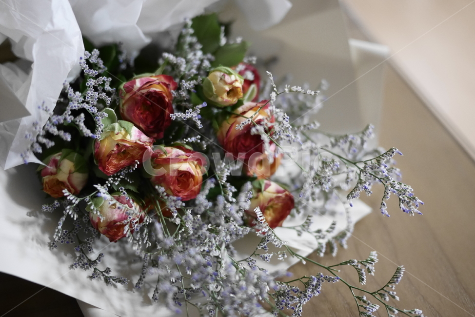 꽃,꽃다발,수국,장미,선물,여자친구,사랑,다발,플라워,flower,꽃,flower,기념일,축하,anniversary,congratulation,celebrate,celebration