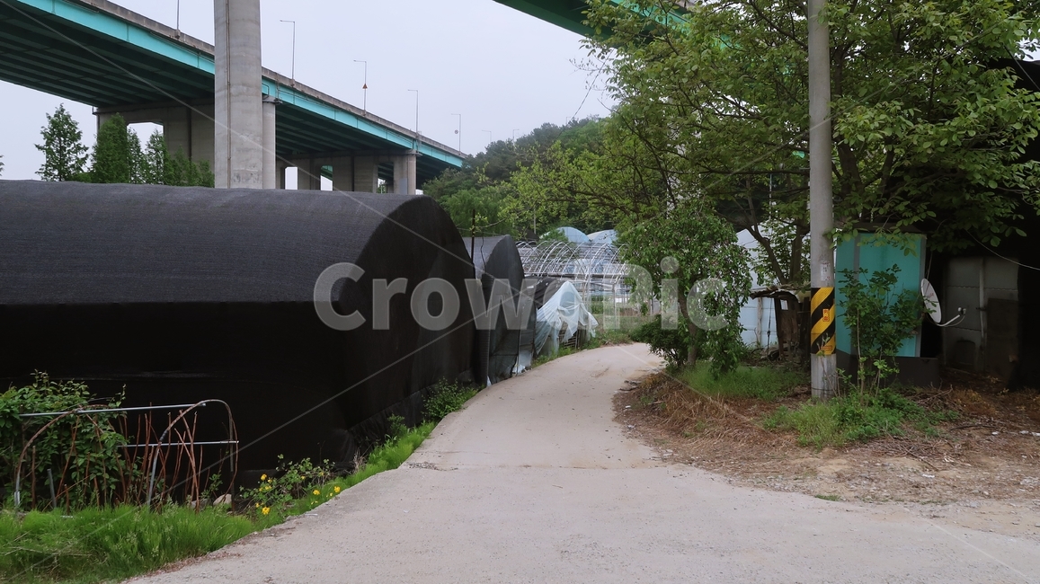 비닐하우스,길,고가도로,도로,전봇대,흙,나무,시골,greenhouse,farm,korea,outdoor,field,tree,countryside,korean,country
