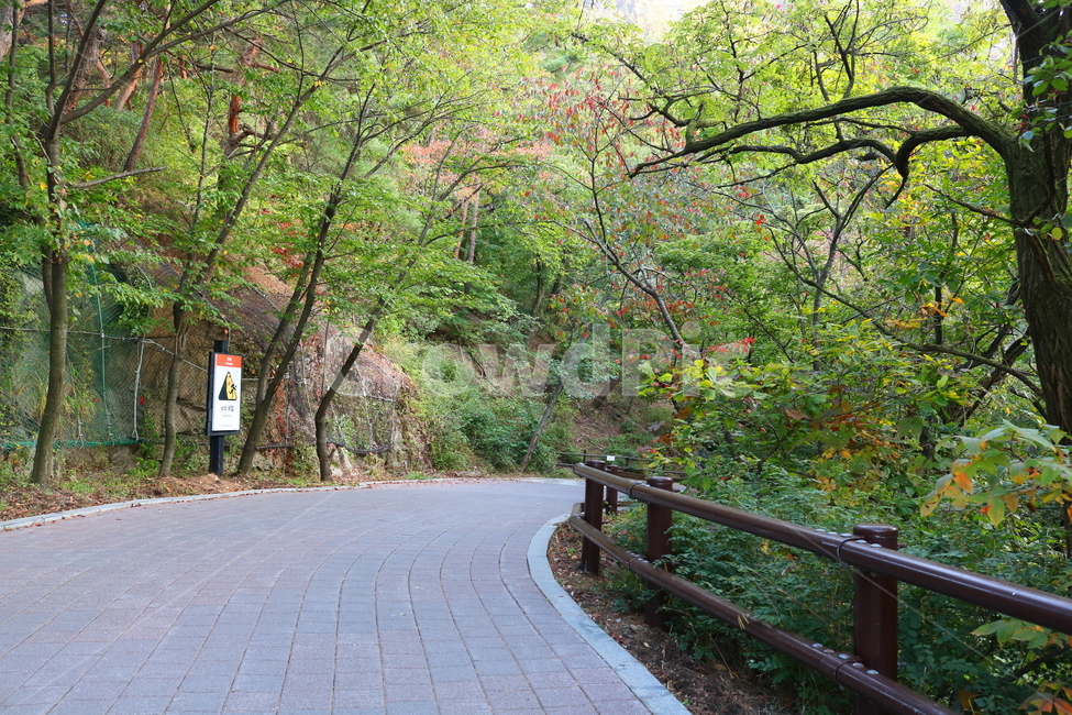 북한산,산책로,등산로,자연,풍경,공원,국립공원,북한산국립공원,길,인도,도로,나무,식물,자연,풍경,nature,landscape