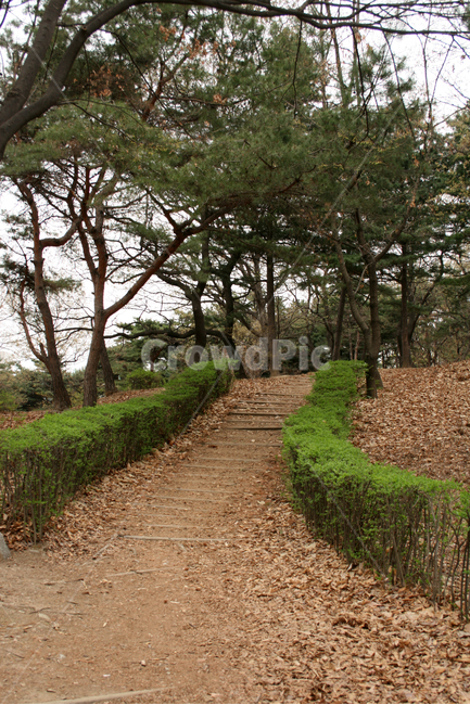 산책,길,감성,공원,풍경,식물,새싹,잎,초록,자연,풍경,nature,landscape,road,도로,dirt road,흙길,gravel,자갈,ground,바닥,tree,나무,plant