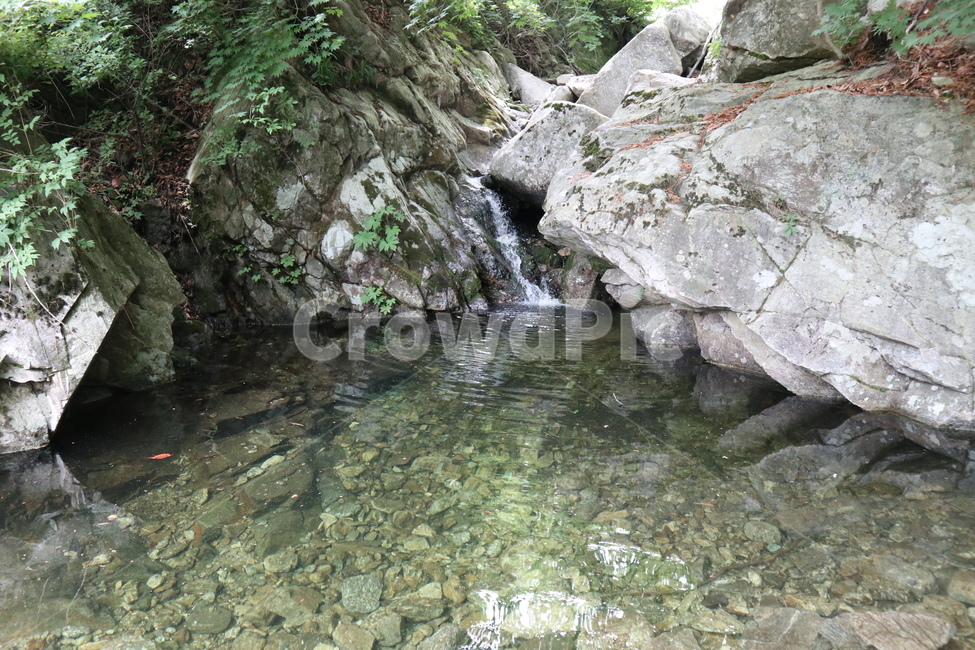 계곡,계곡물,작은폭포,지하수,맑은물,여름,계절,summer,season,자연,풍경,nature,landscape,water,물,outdoors,옥외