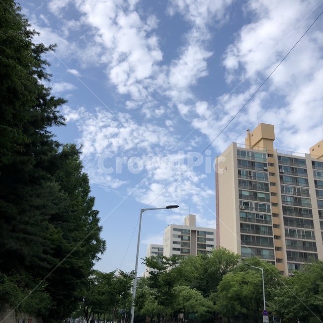 하늘,아파트,나무,구름,도시