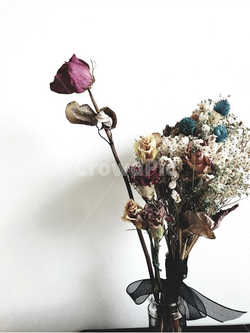 감성,드라이플라워,꽃,선물,빈티지,휴식,꽃병,식물,자연,plants,인테리어,실내디자인,flower,nature,기념일,축하,celebrate,celebration,feeling,소품,감성사진,내부인테리어,꽃사진,interiordesign,배경,배경사진,배경이미지,백그라운드