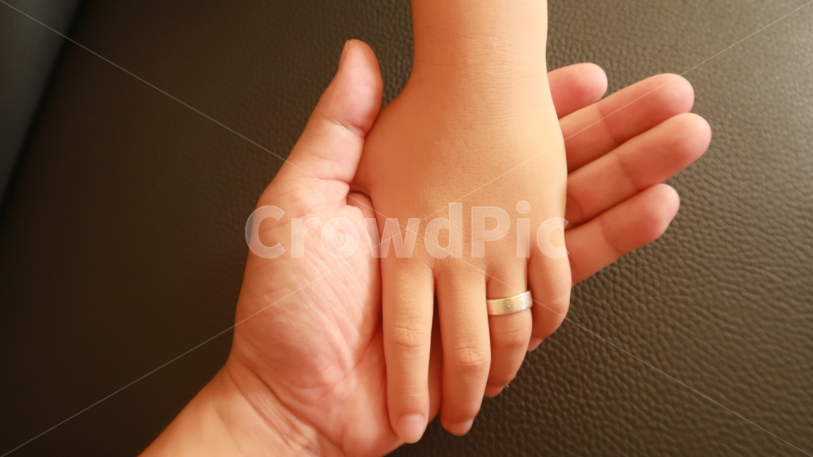 손,악수,마주잡은손,약속,손가락