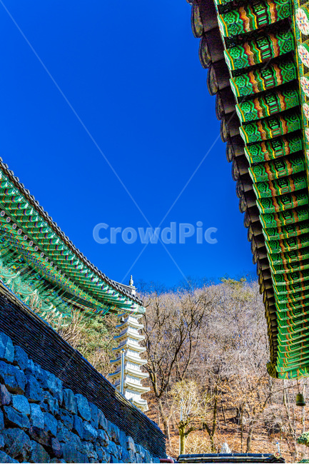 단청,문양,사찰,전통,무늬,선,한국전통,한국문화,korean traditional,korean culture,종교,신앙,religion,belief,faith,건축물,건물외관,exterior,building,structure,architecture,construction