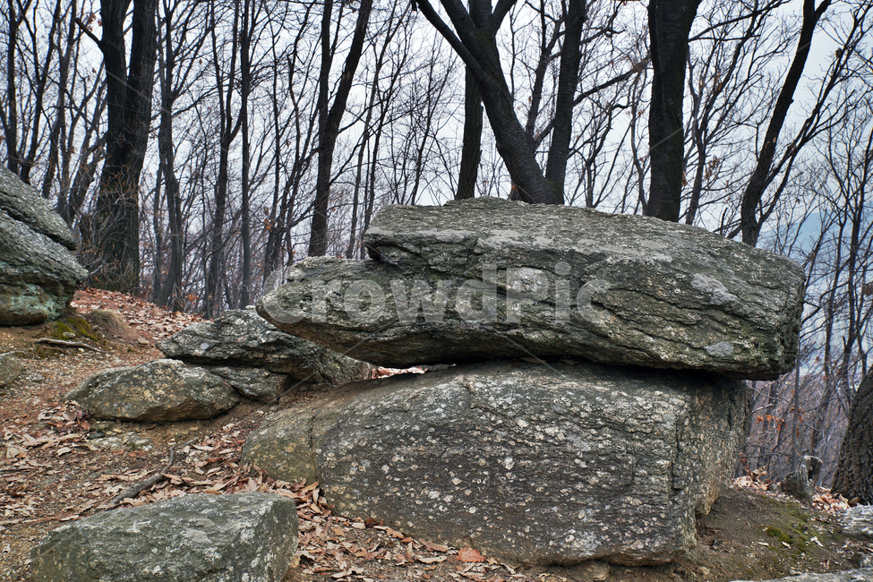 모락산,산,의왕시,자연,바위,나무,낙엽,계절,자연,풍경,nature,landscape